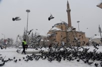 SIĞIRCIK - Konya Büyükşehir Belediyesi Kuşlara Ve Sahipsiz Hayvanlara Yem Bırakıyor