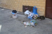 İŞ BIRAKMA - Milas'ta İşçiler Grevde