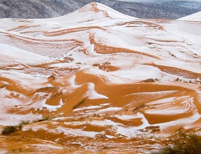 Sahra Çölü'nde 40 yıl sonra bir ilk!