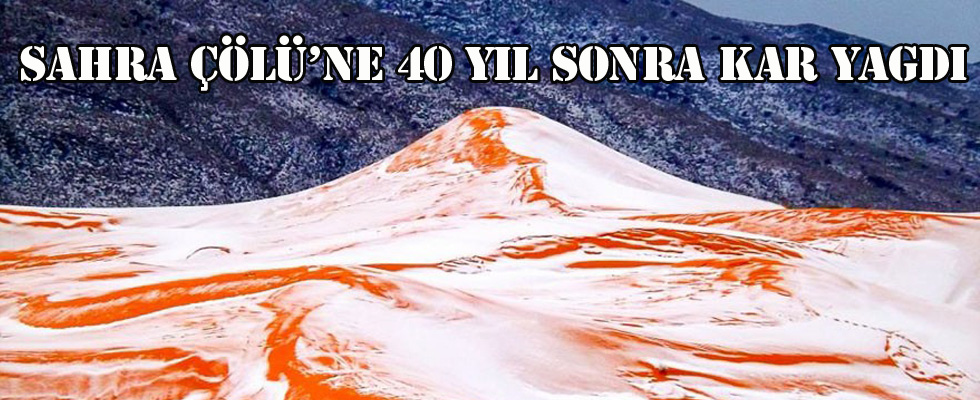 Sahra Çölü'nde 40 yıl sonra bir ilk!