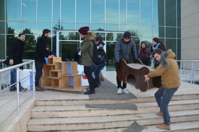 Süleymanpaşa Kent Konseyi Ve NKÜ Öğrencilerinden Sokak Kedilerine 'Ev'