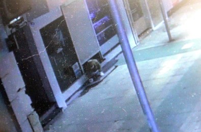 Sürünerek Girdi, 25 Bin TL Çaldı