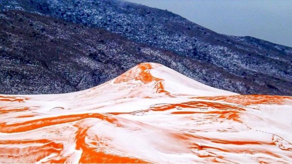 Sahra Çölü'nde 40 yıl sonra bir ilk!