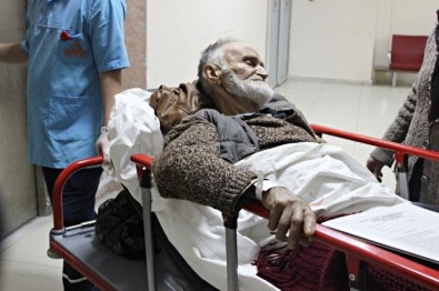 Bartın'da Yaşlı Adam, İki Ayının Saldırısına Uğradı