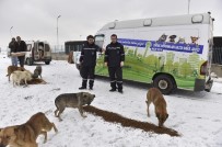 YAKUPABDAL MAHALLESİ - Büyükşehir'den, Sokak Hayvanlarına Yem Desteği