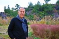 ORGANİK ÜRÜN - Okutur; 'Yurt Dışı Ve Yurt İçindeki Fuarlarda Bölgenin Tanıtımını Yapıyoruz'