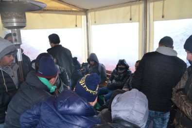 131 Kaçak Göçmen Yakalandı