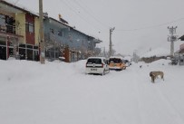 Bingöl'de Kar Yağışı Hayatı Felç Etti Haberi