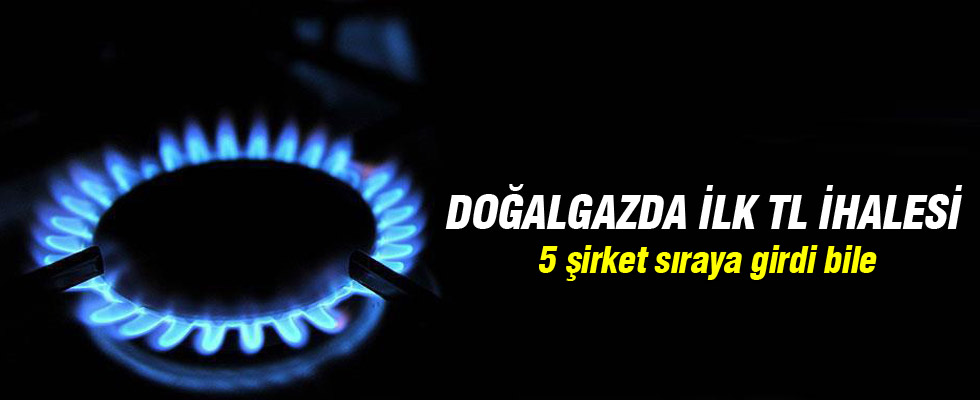 EPDK'nın ilk Türk lirası doğalgaz ihalesine 5 talip