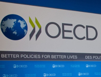 OECD Türkiye raporu