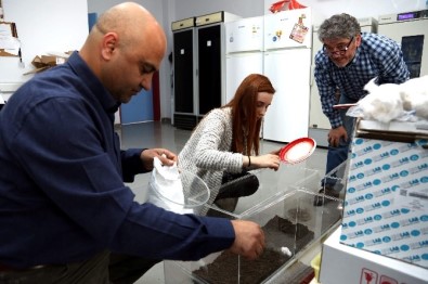 ADÜ'nün Yürütücüsü Olduğu Uluslar Arası Proje Desteklenecek