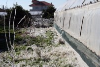 ERKEN UYARI - Aydın'da Zirai Don Ve Buzlanma Riskine Dikkat