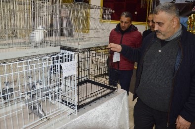 Diyarbakır'da 'Güvercin Festivali'