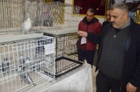 Diyarbakır'da 'Güvercin Festivali'