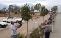 PORTAKAL ÇIÇEĞI - Döşemealtı'na Kış Makyajı