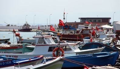 Samsun'da Yılda 14 Bin Tondan Fazla Sofralık Balık Yetiştiriliyor