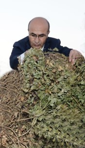 Vali Demirtaş Açıklaması 'Adana'da Tarım Verimli Geçti'