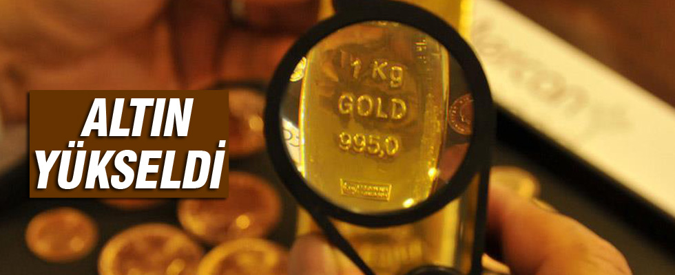 Altın yükseldi