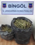 Bingöl'de 16 Kilo Esrar Ele Geçirildi