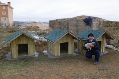 Krıklareli Belediyesi'nden Sokak Hayvanlarına Ev