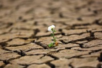GEYIK BARAJı - Kuraklığa Karşı Kampanya