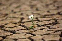 GEYIK BARAJı - Kuraklık Muğla'da Yaşamı Durdurdu
