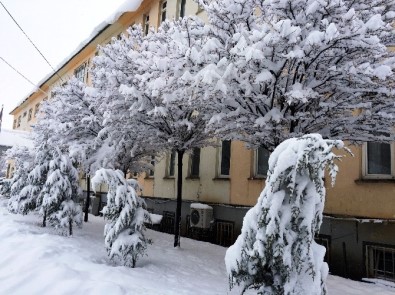 Muradiye'de Kar Yağışı
