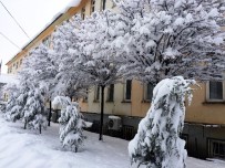 KAR MANZARALARI - Muradiye'de Kar Yağışı
