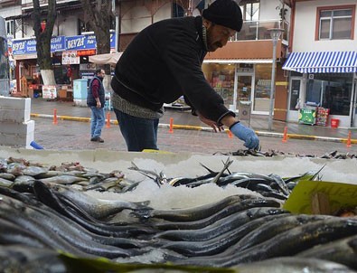 Hamsi yüzde yüz zamlandı