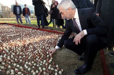 Kağıthane'de 15 Temmuz Şehitleri Anısına 15 Bin Çiçek