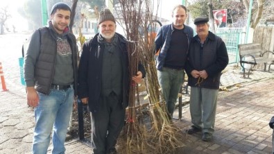 Meyve Fidanları Nilüfer Belediyesi'nden