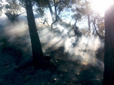 Milas'ta Yangına Vatandaşlar Müdahale Etti