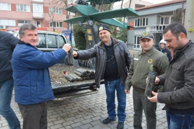 Orman İşletmesi'nden Vatandaşlara Yeni Yıl Fidanı