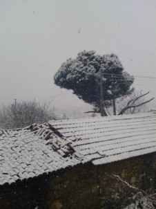 Salihli'de Kar Yağışı Başladı