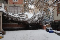 Çankırı'da Kar Yağışı Sevindirdi Haberi
