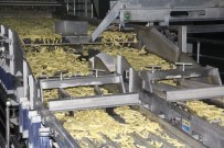 ORMAN VE KÖYİŞLERİ KOMİSYONU - Konya Şeker, Patates Üreticisinin Yüzünü Güldürdü