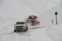 ŞİDDETLİ TİPİ - Ardahan'da Karla Mücadele Çalışması