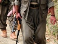 İçişleri Bakanlığı: PKK'nın 5 üst düzey yöneticisi yakalandı