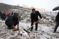 NECDET AKSOY - Safranbolu'da Çam Ağaçlarının Kesilmesi, Fidan Dikimiyle Protesto Edildi