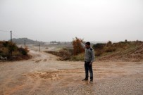 ÇİÇEK HASTALIĞI - Serik Canlı Hayvan Pazarı Karantinaya Alındı