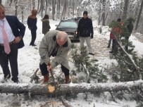 BAŞKENT ÜNIVERSITESI - CHP'li Vekilin Aracının Önüne Ağaç Devrildi