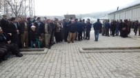 HAKKARİ VALİSİ - Derecik Halkı Bakan Soylu'yu Bekliyor