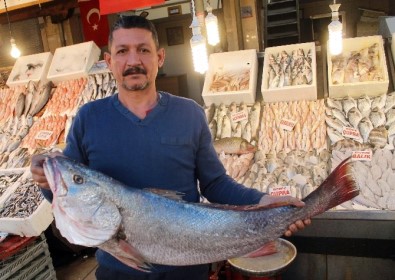 Mersinli Balıkçılardan Cumhurbaşkanı Erdoğan'ın Açıklamalarına Destek