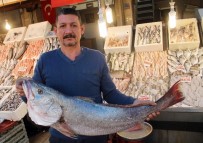 BARBUNYA - Mersinli Balıkçılardan Cumhurbaşkanı Erdoğan'ın Açıklamalarına Destek