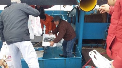Balıkçılar İstavritin Torbasını 5 TL'den Sattı