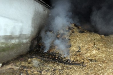 Bin 500 Saman Balyası Yanarak Kül Oldu