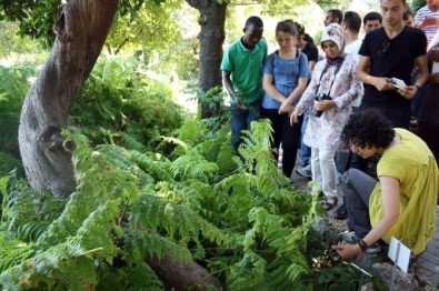 Geleceğin Bitki Uzmanları, Tıbbi Bitkiler Bahçesi'nde Yetişiyor