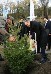 Gençlik Ve Spor Bakanlığı'ndan 5 Yılda 1 Milyon Fidan