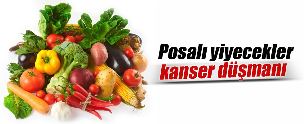 Posalı yiyecekler kanser düşmanı