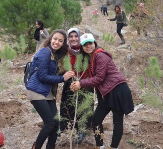 Aydın KYK Ormanları Yeşeriyor